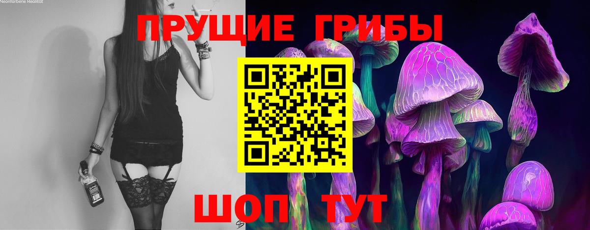 Сланцы  Псилоцибиновые грибы мухоморы  Вход с VPN 