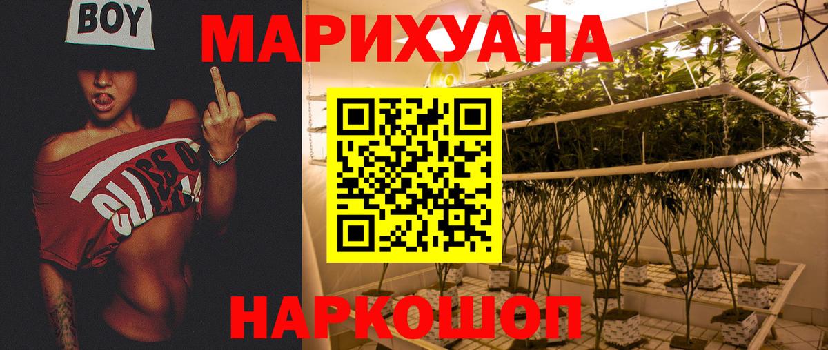 Каннабис семена Сланцы